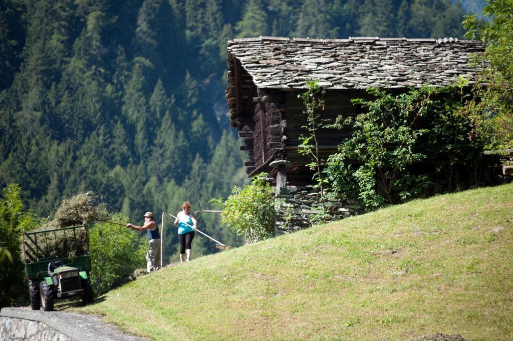 Albergo Castello Da Bonino Champorcher Rom bilde